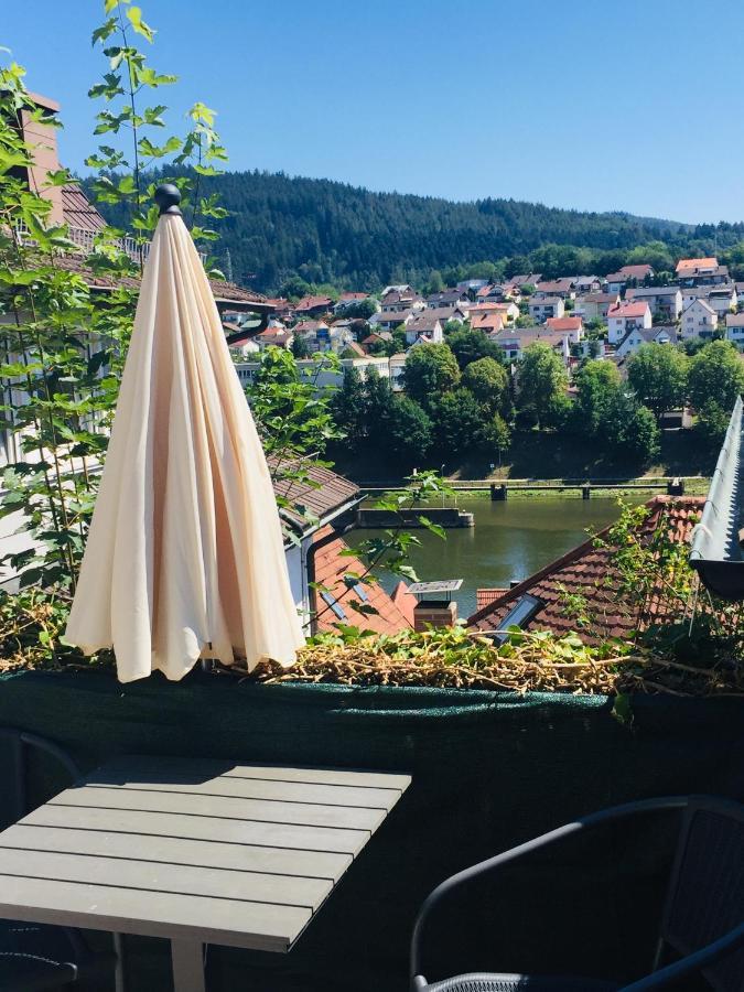 Natur Und Neckarblick Bei Heidelberg Hirschhorn Zewnętrze zdjęcie