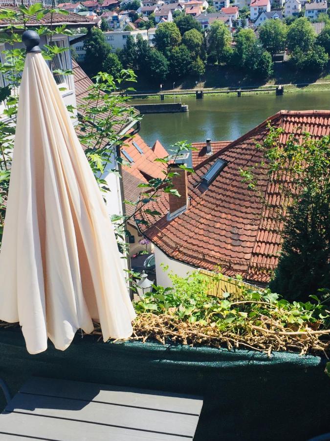 Natur Und Neckarblick Bei Heidelberg Hirschhorn Zewnętrze zdjęcie