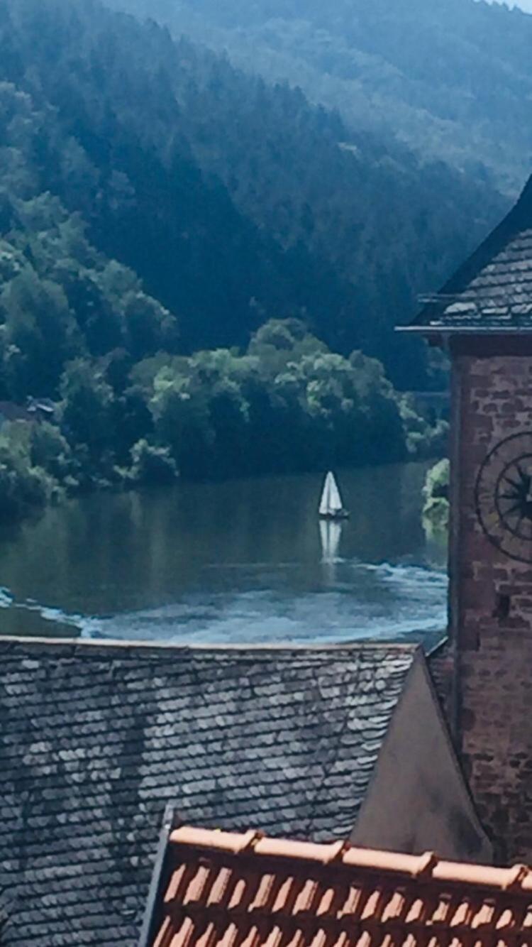 Natur Und Neckarblick Bei Heidelberg Hirschhorn Zewnętrze zdjęcie