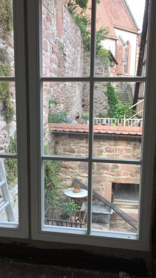 Natur Und Neckarblick Bei Heidelberg Hirschhorn Zewnętrze zdjęcie
