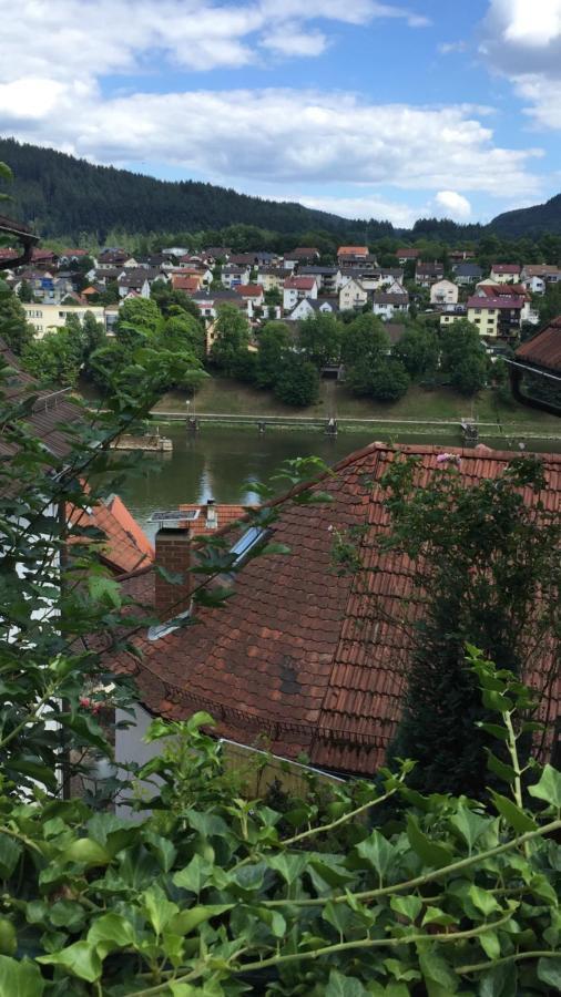 Natur Und Neckarblick Bei Heidelberg Hirschhorn Zewnętrze zdjęcie