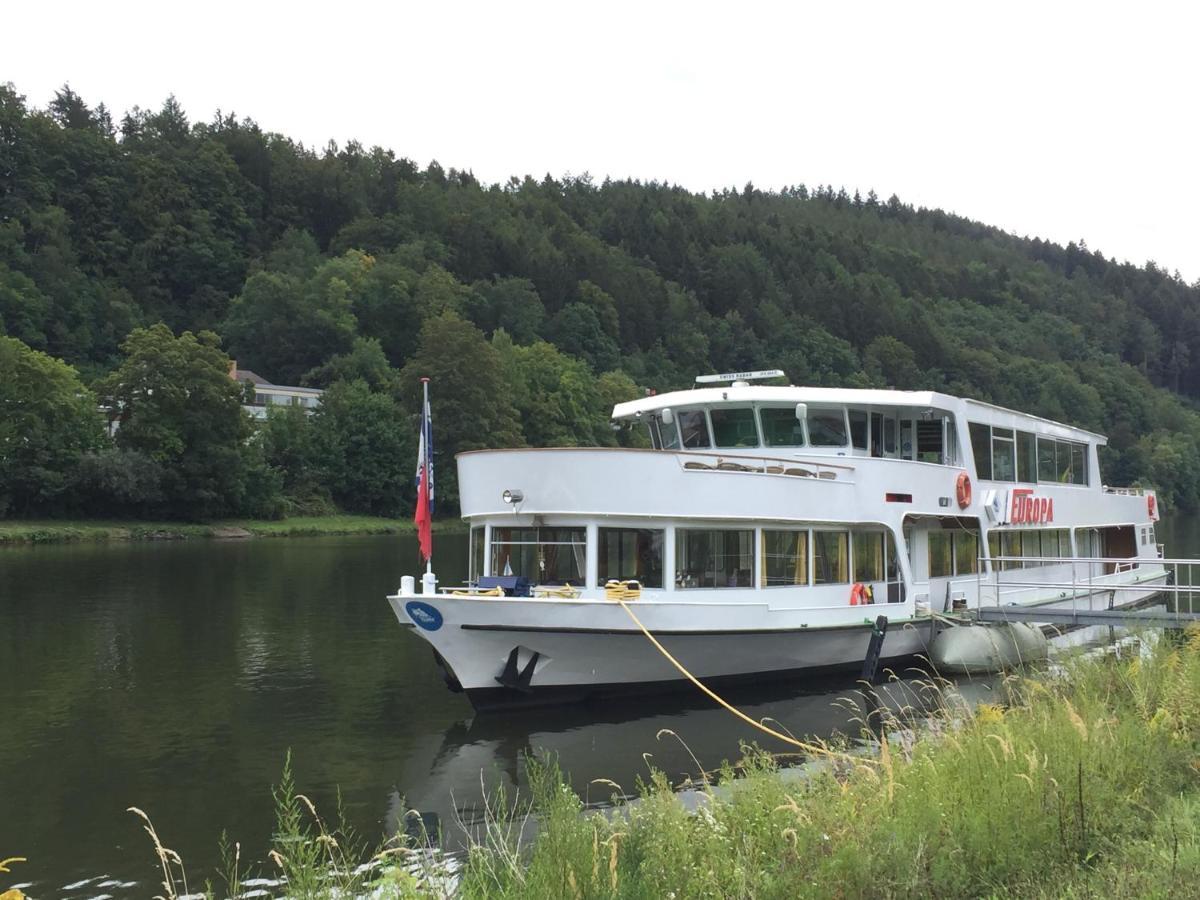 Natur Und Neckarblick Bei Heidelberg Hirschhorn Zewnętrze zdjęcie