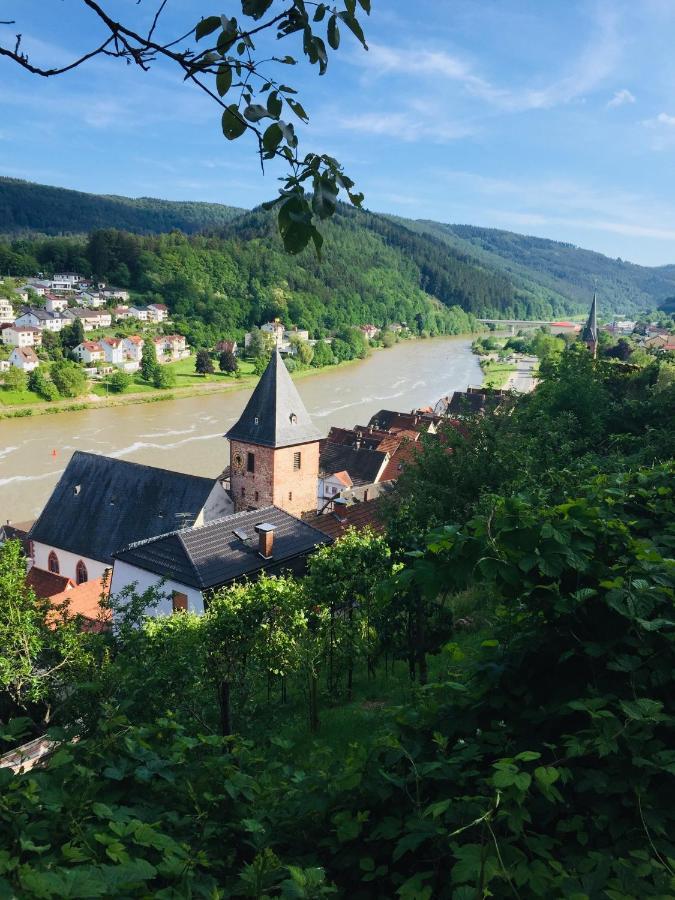 Natur Und Neckarblick Bei Heidelberg Hirschhorn Zewnętrze zdjęcie
