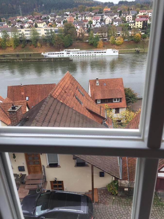 Natur Und Neckarblick Bei Heidelberg Hirschhorn Zewnętrze zdjęcie
