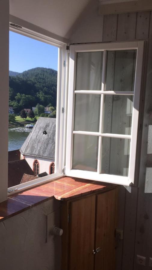 Natur Und Neckarblick Bei Heidelberg Hirschhorn Zewnętrze zdjęcie
