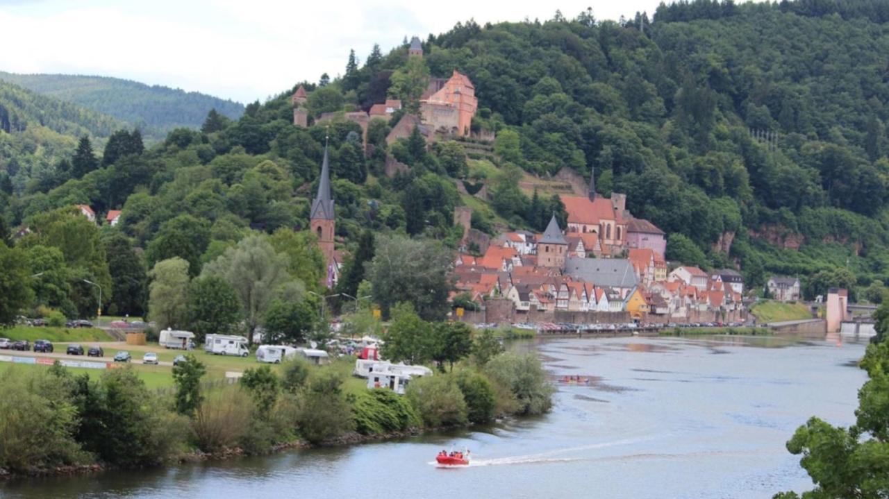 Natur Und Neckarblick Bei Heidelberg Hirschhorn Zewnętrze zdjęcie
