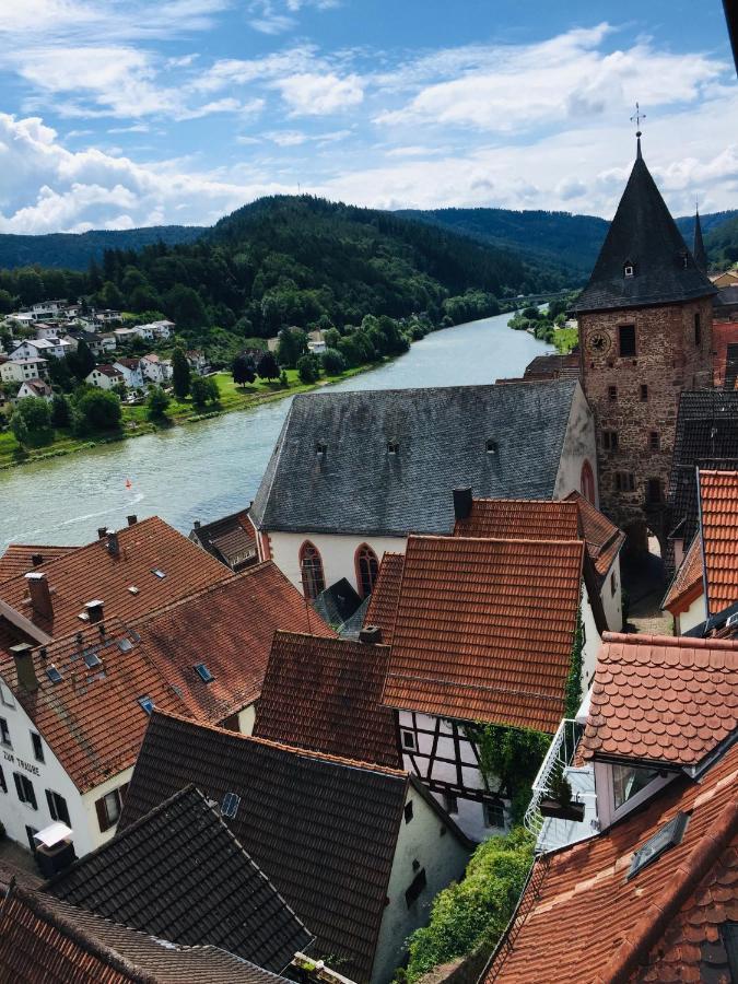 Natur Und Neckarblick Bei Heidelberg Hirschhorn Zewnętrze zdjęcie