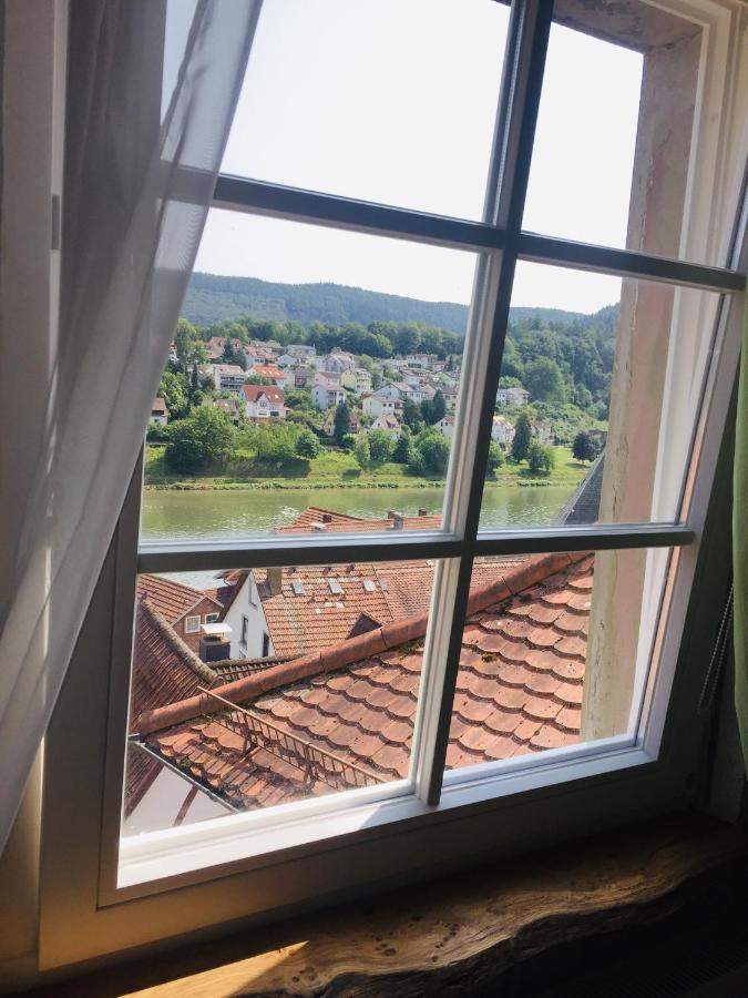 Natur Und Neckarblick Bei Heidelberg Hirschhorn Zewnętrze zdjęcie