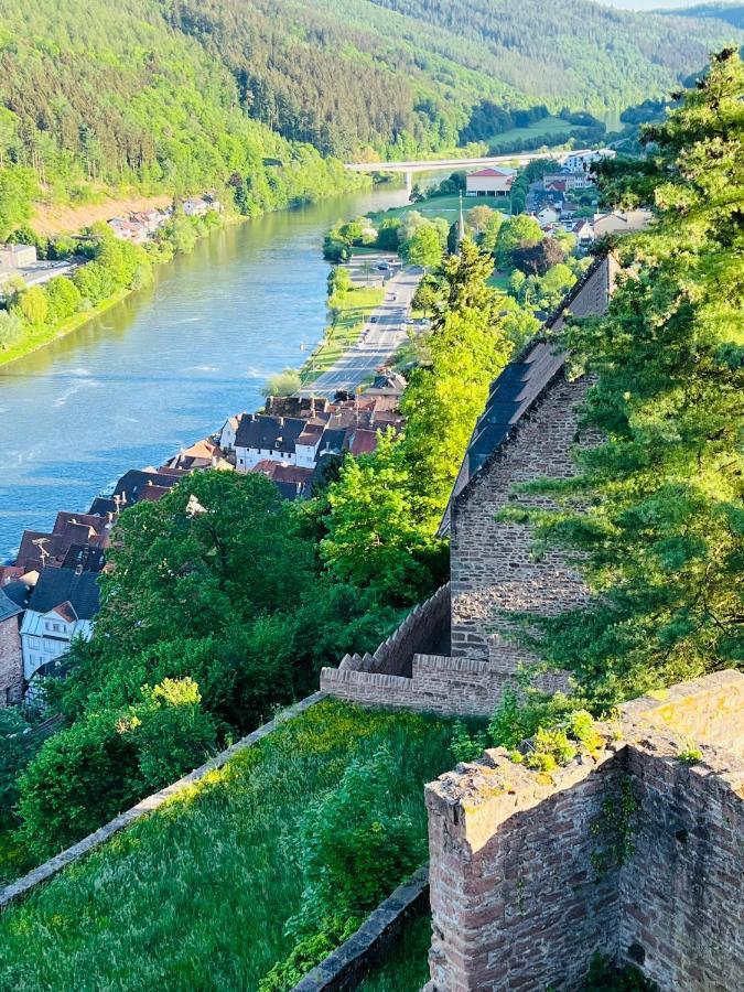 Natur Und Neckarblick Bei Heidelberg Hirschhorn Zewnętrze zdjęcie