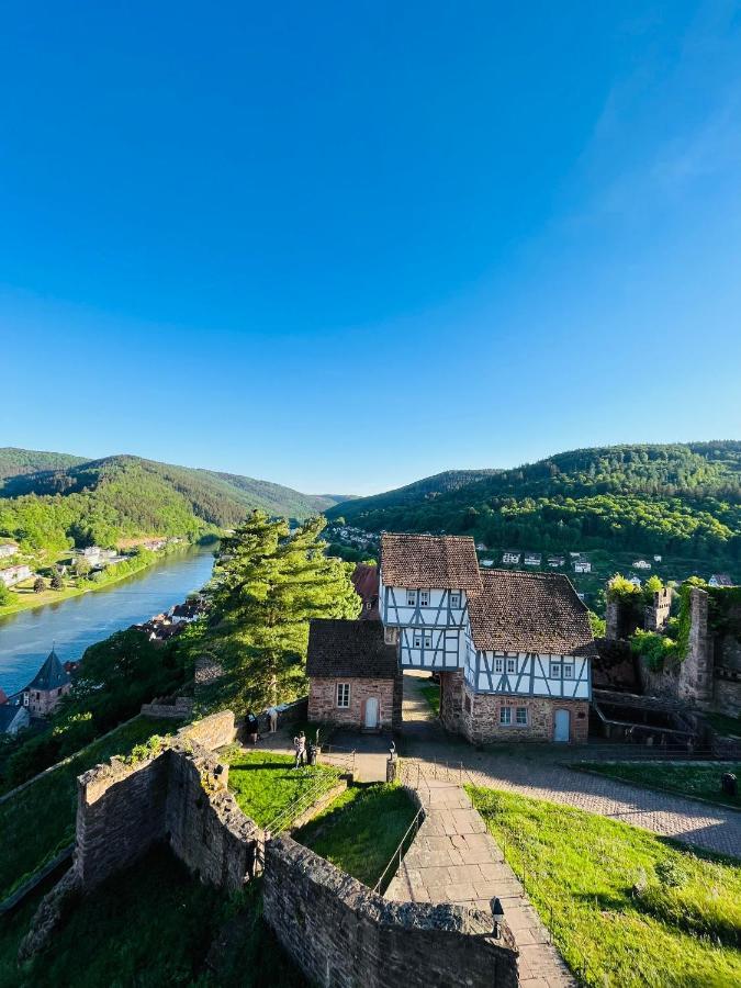 Natur Und Neckarblick Bei Heidelberg Hirschhorn Zewnętrze zdjęcie