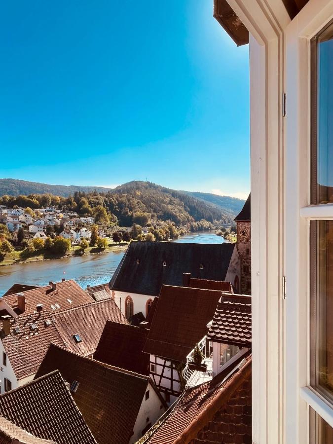 Natur Und Neckarblick Bei Heidelberg Hirschhorn Zewnętrze zdjęcie