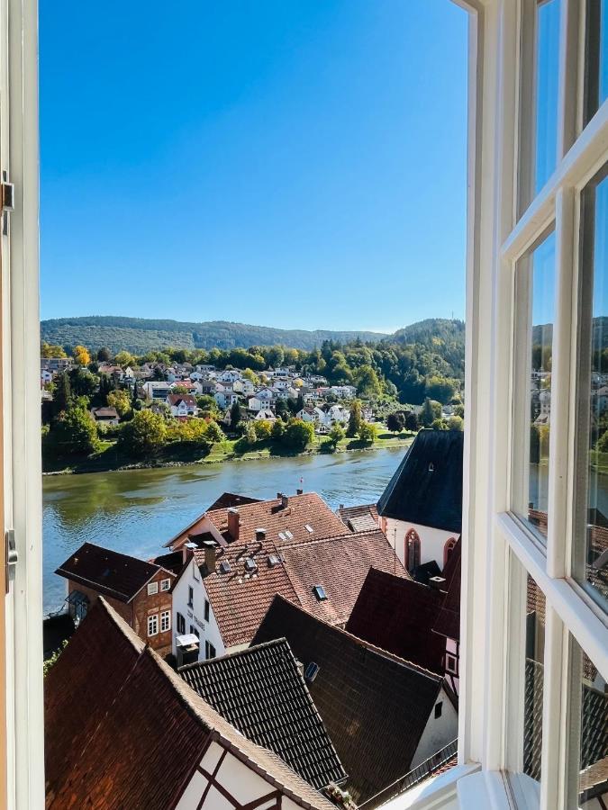 Natur Und Neckarblick Bei Heidelberg Hirschhorn Zewnętrze zdjęcie