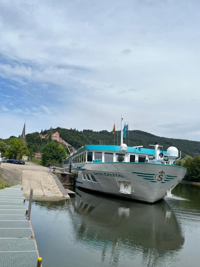 Natur Und Neckarblick Bei Heidelberg Hirschhorn Zewnętrze zdjęcie