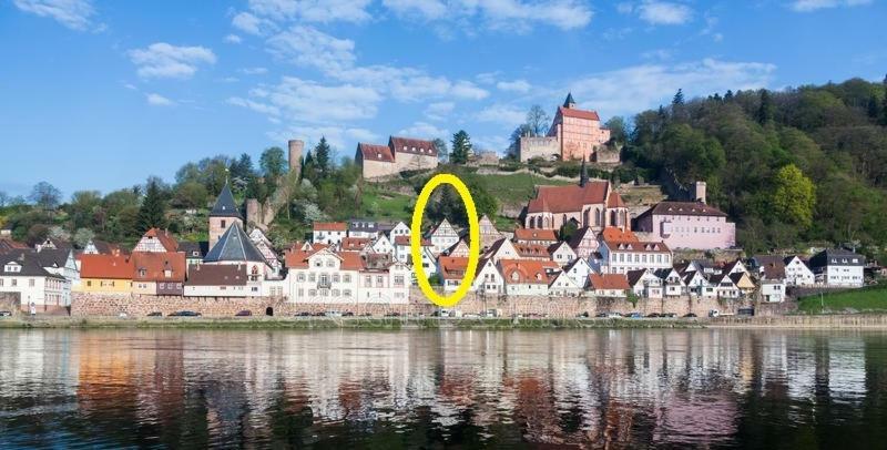 Natur Und Neckarblick Bei Heidelberg Hirschhorn Zewnętrze zdjęcie