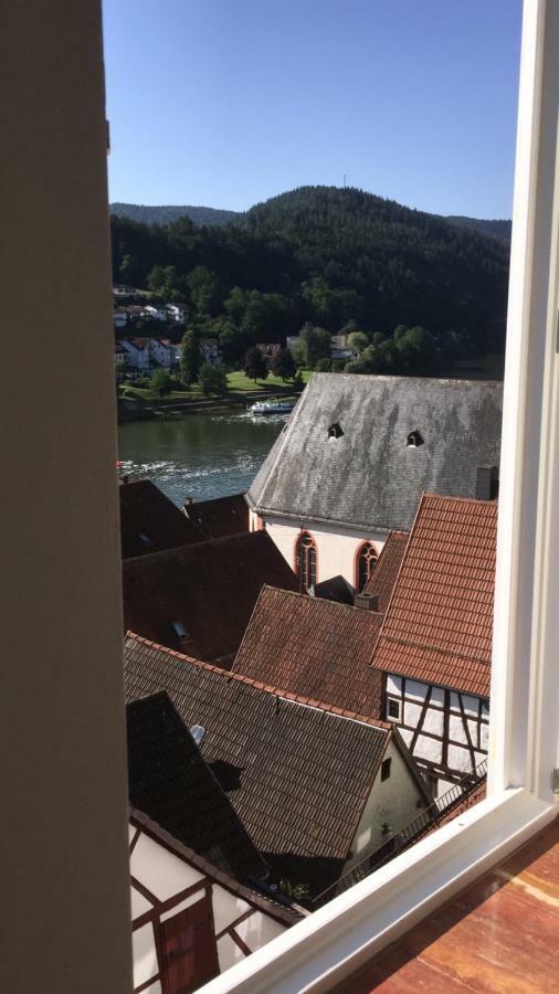 Natur Und Neckarblick Bei Heidelberg Hirschhorn Zewnętrze zdjęcie